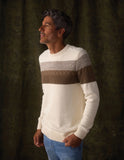 Tom Stripe Crew